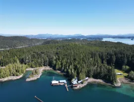 Islands, forest and ocean