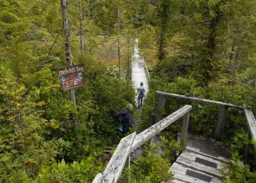 Mateoja Bog