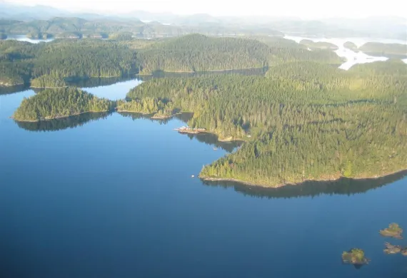 Lodge in the middle of the photo surrounded by forest! Aerial view of the Broughton Archipelago